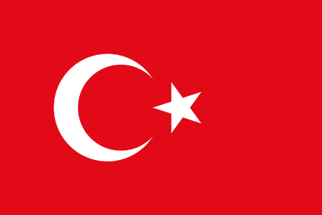 Turkish instrument cluster pixel repair